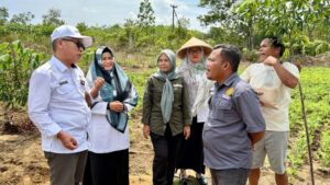 Kementan Perkuat Pengawalan Program dan Bantuan Pertanian Melalui BRMP di 38 Provinsi