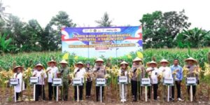 Panen Raya Jagung di Pangkep, Kapolda Sulsel Dorong Ketahanan Pangan Nasional