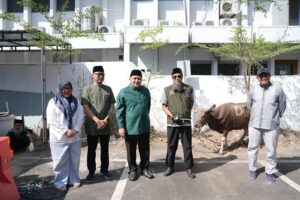 Iduladha 2026: Pemkot Makassar Salurkan Hewan Kurban untuk Masyarakat dan Cleaning Service