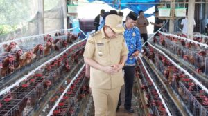 Wabup Bone Resmikan Pasar Murah dan Tinjau Kandang Ayam Petelur BUMDes