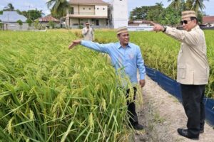 Prabowo: Swasembada Pangan dan Energi Jadi Bukti Nyata Kemandirian Bangsa
