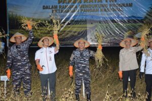 Dukung Ketahanan Pangan Nasional, Dankodaeral VI Hadiri Panen Raya Kedelai Serentak di Pangkep
