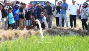 Siaga di Musim Kemarau, Bupati Sidrap Ingatkan Bahaya Kebakaran dan Krisis Air