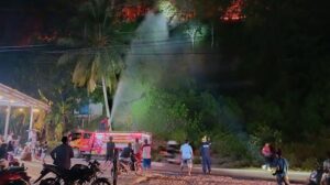 Kebakaran Hutan-Lahan di Mamuju, BPBD Sulbar Turunkan Tim