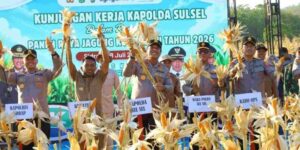 Kapolda Sulsel Hadiri Panen Raya Jagung di Sidrap, Dukung Swasembada Pangan Nasional