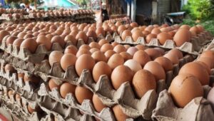 Anggota Komisi IV DPR Usul Skema Harga Atas-Bawah untuk Jaga Stabilitas Minyak Goreng dan Telur