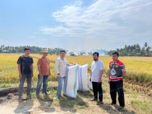 UPTD BBTPH Sulbar Siapkan Calon Benih Padi untuk Pertanaman Pasca El Nino