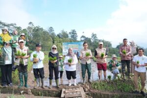 Sinjai Ikut Gerakan Tanam Padi Serentak Nasional, Bupati Ratnawati Turun Langsung ke Sawah
