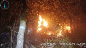 Gubernur Andi Sudirman Ajak Masyarakat Bersama-sama Cegah Kebakaran Hutan dan Lahan
