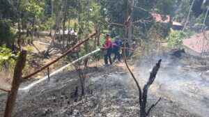 2 Hektar Lahan di Rangas Terbakar Bikin Warga Panik, Api Dipadamkan Damkar Sulbar Bersama Tim Gabungan
