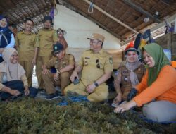 Bupati Luwu Dorong Penguatan Ekonomi Masyarakat Pesisir melalui Potensi Rumput Laut