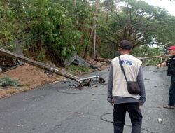 Hujan Disertai Angin Kencang di Mamuju, Pohon dan Tiang Listrik Tumbang