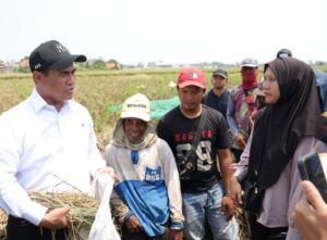 Mentan Amran Ubah Peraturan, Buruh Tani Kini Bisa Dapat Bantuan Alsintan