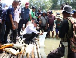 Hadiri Pesta Rakyat Binuang, Bupati Bone Tebar 8.000 Benih Ikan