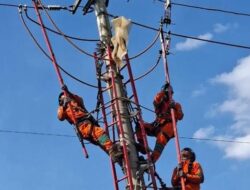 PLN dan Pemprov Sulsel Perkuat Koordinasi Pulihkan Listrik Sulbagsel