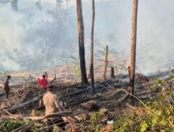 Udara Mamuju Berasap Beberapa Hari Terakhir, BPBD Sulbar Ingatkan Bahayanya Bagi Anak hingga Ibu Hamil