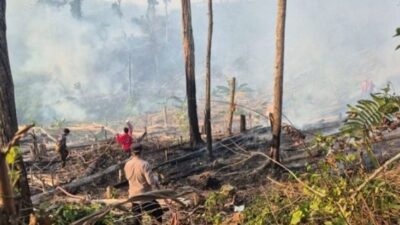 Udara Mamuju Berasap Beberapa Hari Terakhir, BPBD Sulbar Ingatkan Bahayanya Bagi Anak hingga Ibu Hamil