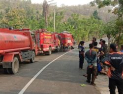 Kebakaran Lahan di Lebani Mamuju Direspon Cepat Tim Siaga Darurat Karhutla BPBD Sulbar, Api Berhasil Dipadamkan